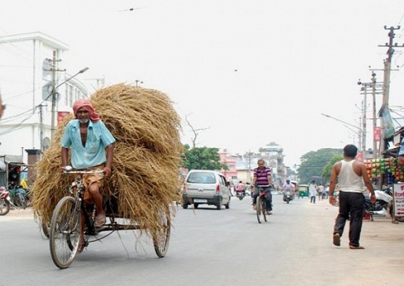   A rickshaw puller carrying hay at Sakuntala road. TIWN Pic July 4